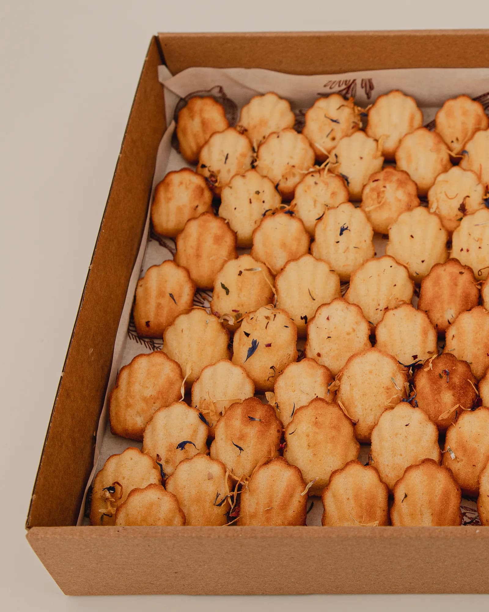 Grand Mini Madeleines Nature, photo 3