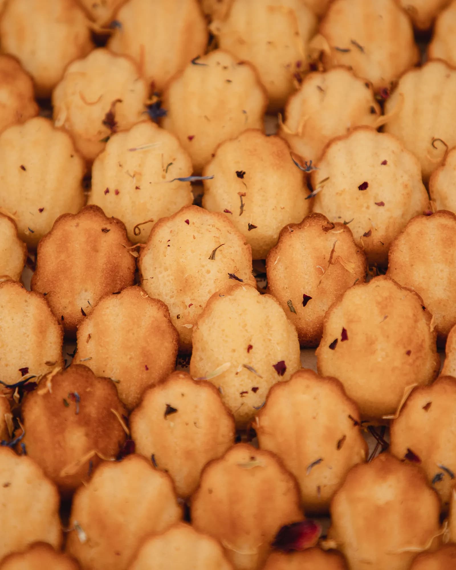 Grand Mini Madeleines Nature, photo 2