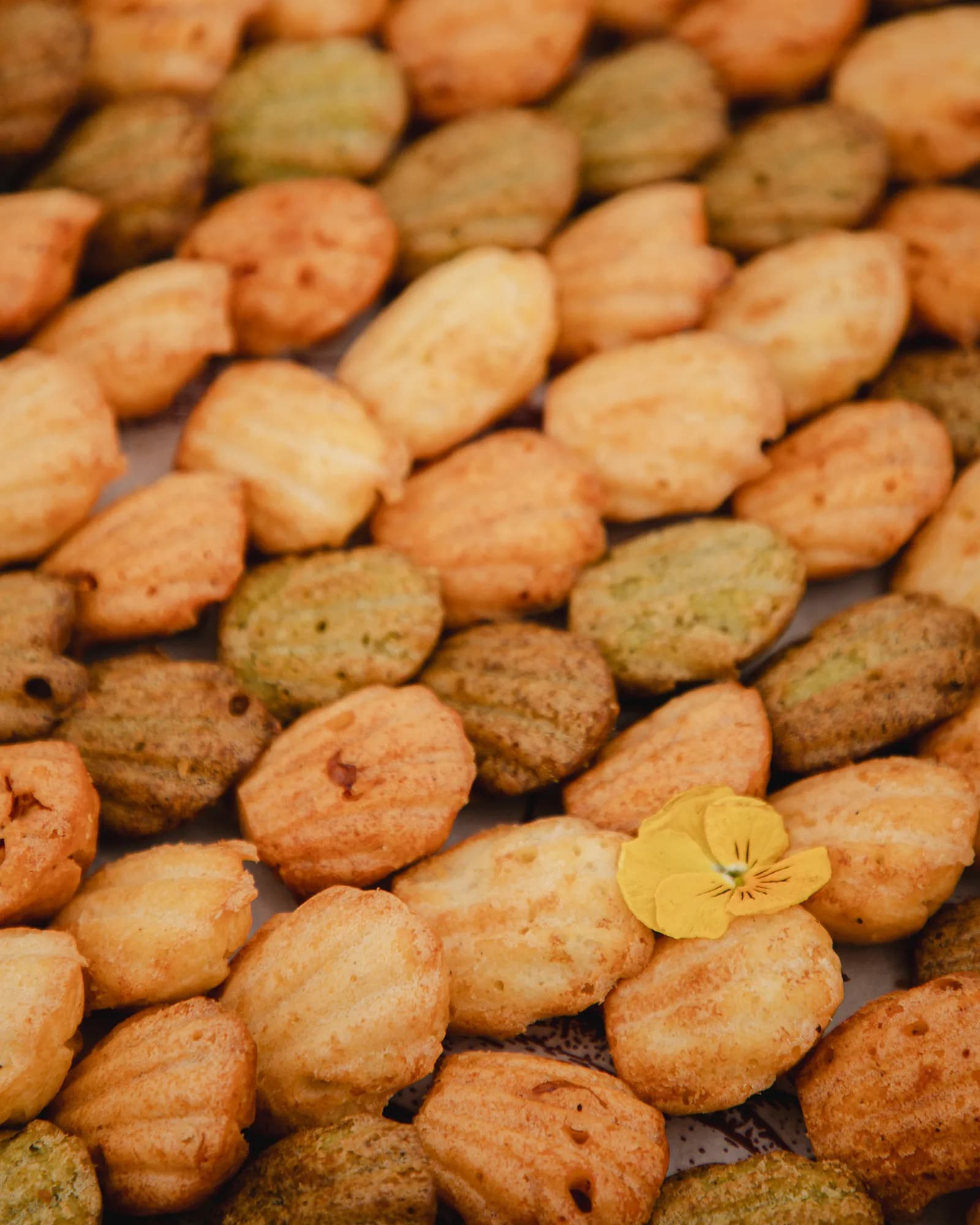 Grand Mini Madeleines Salées, photo 3