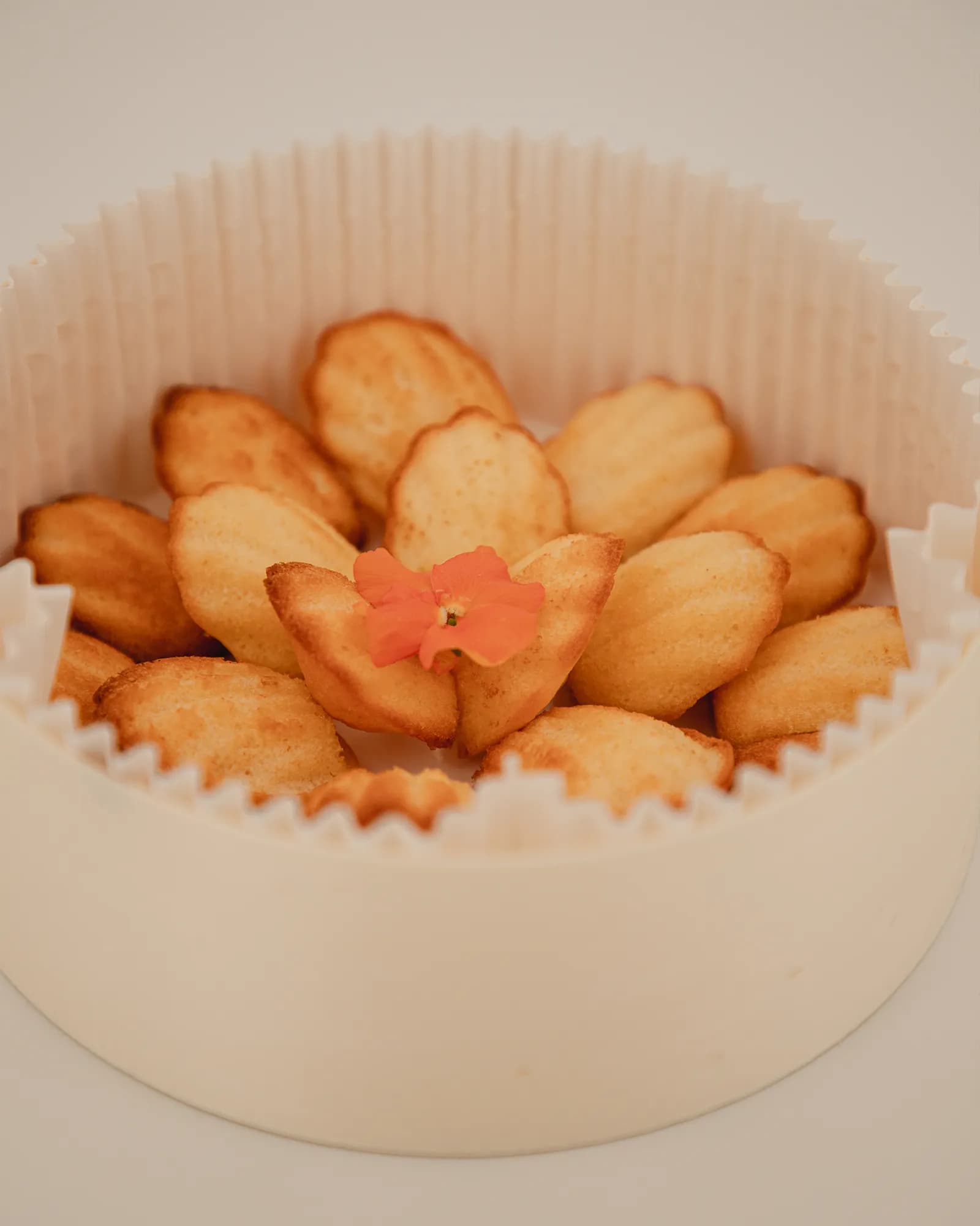 Moyen Mini Madeleines Nature, photo 2