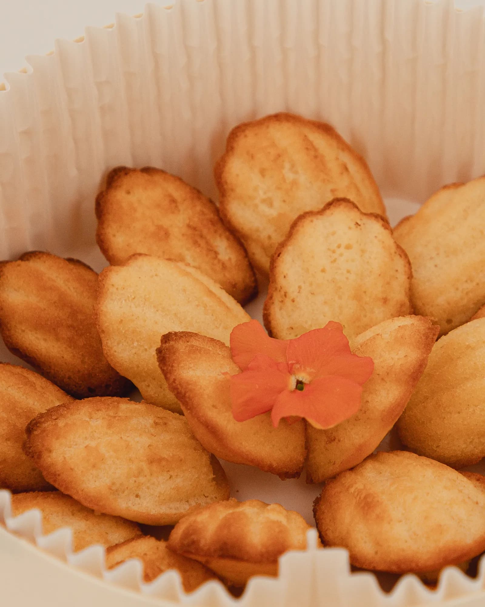 Moyen Mini Madeleines Nature, photo 3