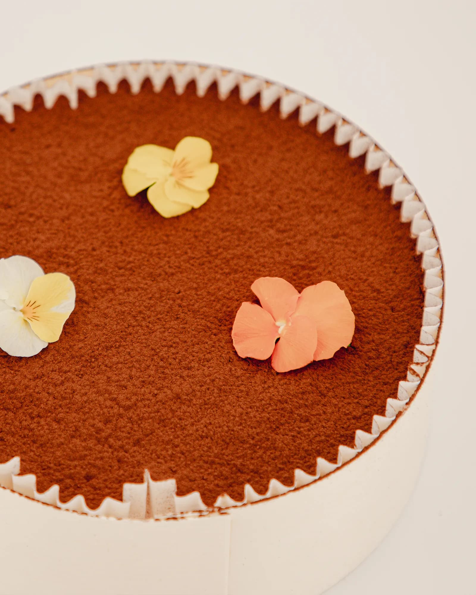 Moyen Tiramisu à Partager, photo 2