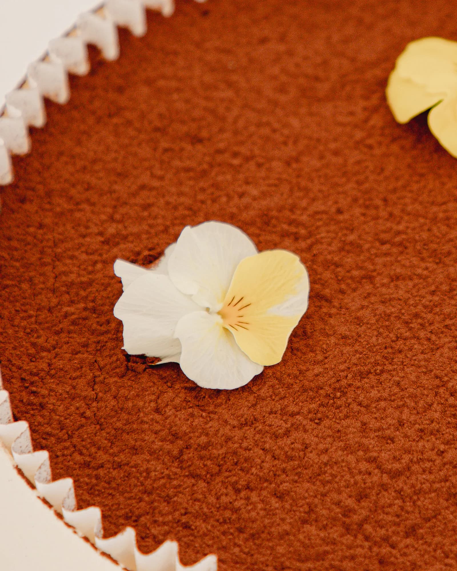 Tiramisu à Partager, photo 3