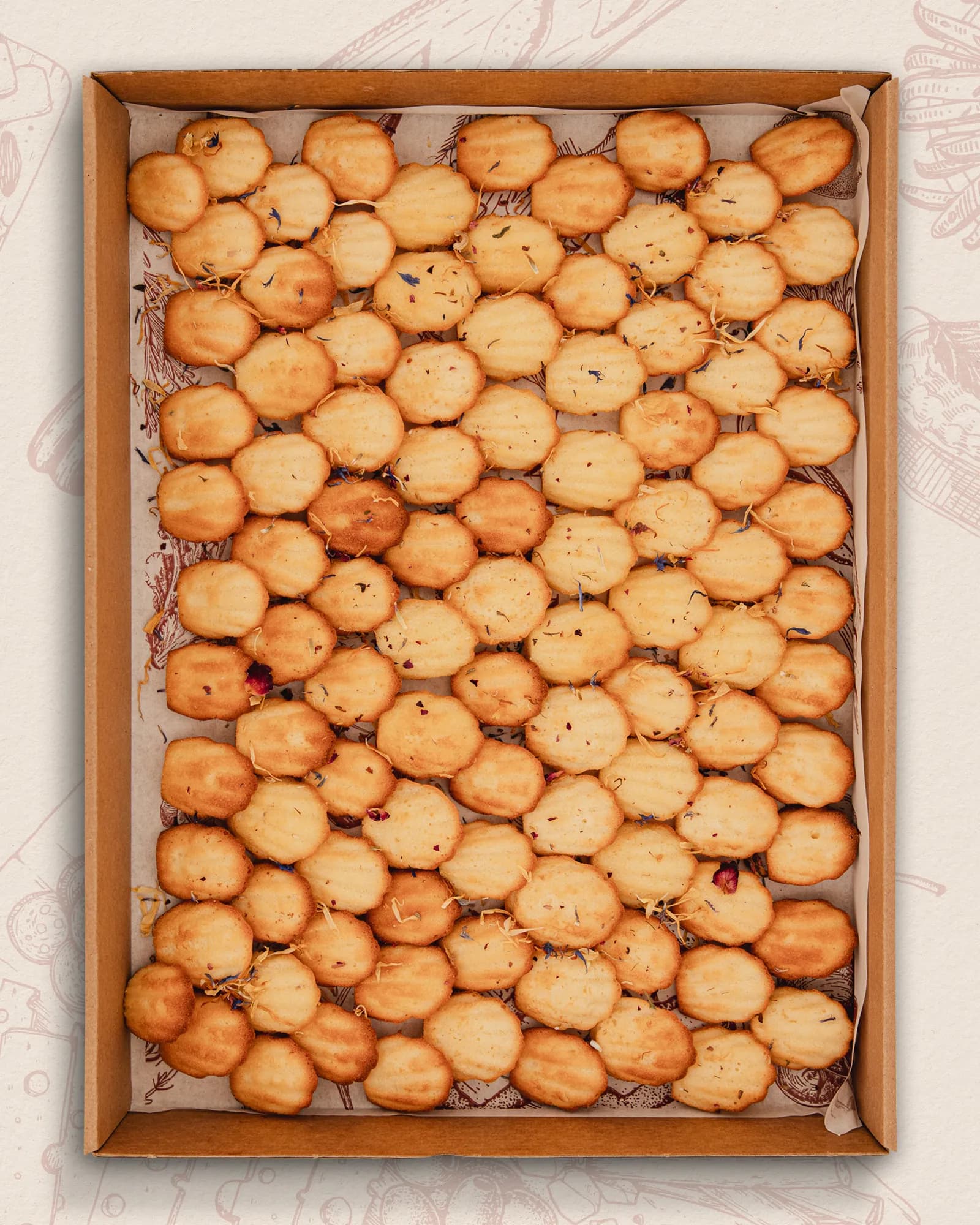 Grand Mini Madeleines Nature