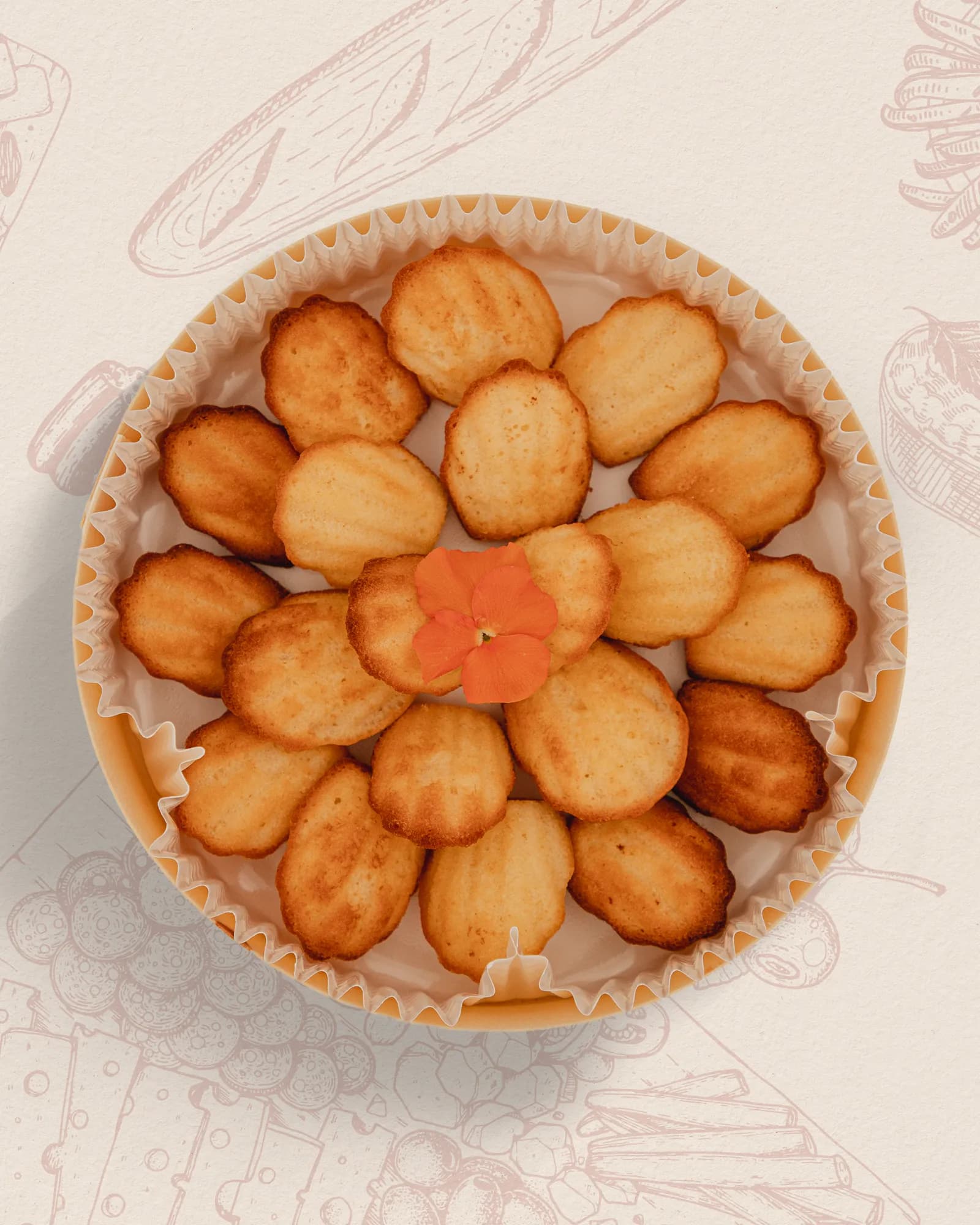 Petit Mini Madeleines Nature